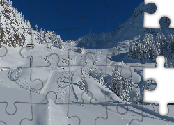 Zima, Góry, Nartostrada, Lasy