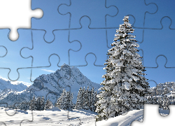 Zima, Góry, ,Ośnieżone, Drzewa, Śnieg