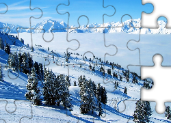 Śnieg, Góry, Drzewa