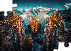 Zima, Śnieg, Góry, Drzewa