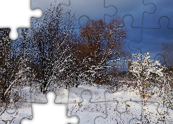 Zima, Śnieg, Drzewa, Niebo