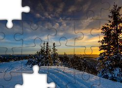 Zima, Ośnieżone Drzewa, Zachód, Słońca, Śnieg