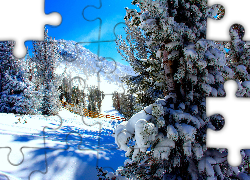 Góry, Lasy, Drzewa, Ogrodzenie, Zima