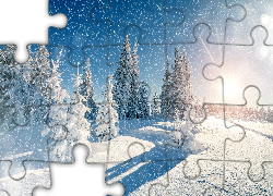 Zima, Śnieg, Drzewa