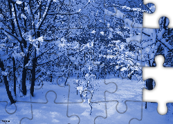 Zima, Śnieg, Drzewa