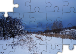 Zima, Śnieg, Drzewa, Ciemne, Chmury