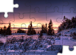 Zima, Las, Zachód Słońca