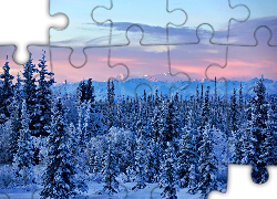 Góry, Lasy, Wschód, Słońca, Alaska, Zima