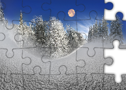 Zima, Śnieg, Księżyc, Drzewa