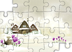 Domy, Śnieg, Kwiaty