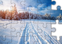 Zima, Śnieg, Las, Wschód słońca