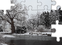 Zima, Drzewa, Oszronione, Rzeka