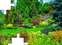 Queen Elizabeth, Park, Drzewa, Krzewy, Kwiaty, Vancouver, Kanada