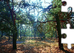 Park