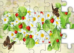 Grafika, 2D, Poziomki, Motylki