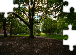 Queens park, Toronto