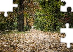 Jesień, Park, Las, Ścieżka