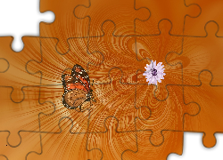 Motyl, Kwiat, Pomarańczowe, Tło, Grafika