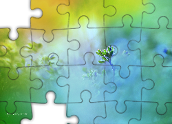 Mała, Roślinka, Makro