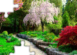 Wiosna, Park, Alejka, Kwitnące, Drzewa, Krzewy