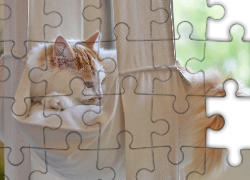 Kot, Miejsce, Odpoczynku