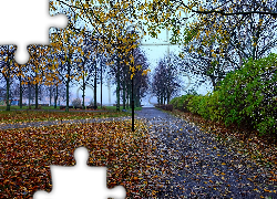 Jesień, Park, Drzewa, Jesienne, Liście