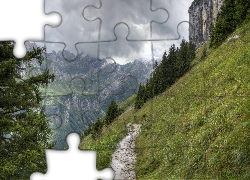 Góry, Ścieżka, Drzewa