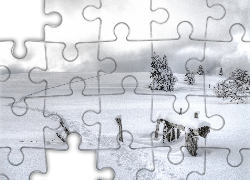 Zima, Śnieg, Pole, Drzewa, Ścieżka