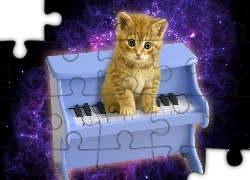 Pianino, Słodki, Kotek