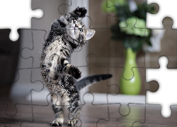 Tańczący, Mały, Kotek, Flakon, Kwiaty