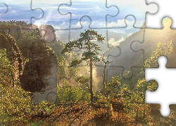 Drzewo, Góry, Las, Chmury