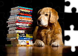 Pies, Golden retriever, Książki