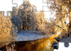 Zima, Rzeka, Drzewa