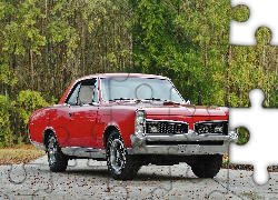 Pontiac, Samochód, Czerwony, GTO, 1967, Zabytek