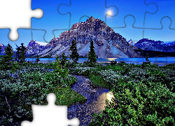 Góry, Potok, Drzewa, Kwiaty, Słońce