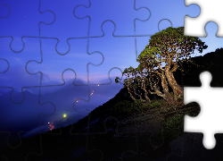 Góry, Drzewo, Swiatła