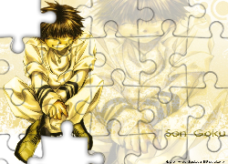 Saiyuki, son goku, gold