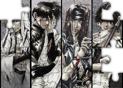 Saiyuki,rany