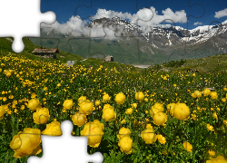 Góry, Chaty, Kwiaty, Zieleń