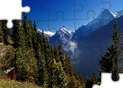 Góry, Las, Szałas, Szwajcaria