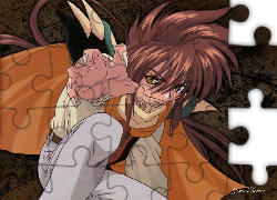 Saiyuki, peleryna