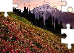 Góry, Las, Łąka, Wschód, Słońca