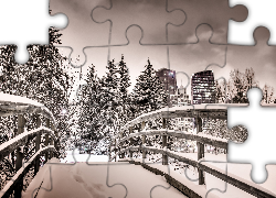 Choinki, Śnieg, Most, Park, Miasto