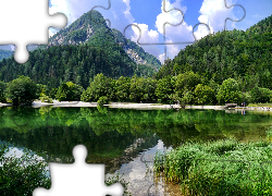 Góry, Roślinność, Drzewa, Jezioro