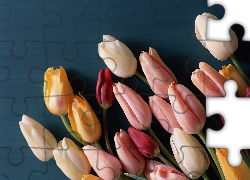 Tulipany, Kolorowe, Niebieskie, Tło