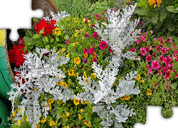 Ogród, Kolorowe, Kwiaty