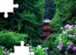 Ogród, Pagoda, Drzewa, Hortensje, Kioto, Japonia