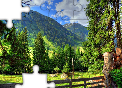 Góry, Zagroda, Łąka, Lato