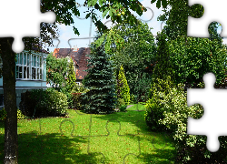 Ogród, Drzewa, Zieleń, Trawnik