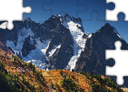 Góry, Ośnieżone szczyty, Drzewa